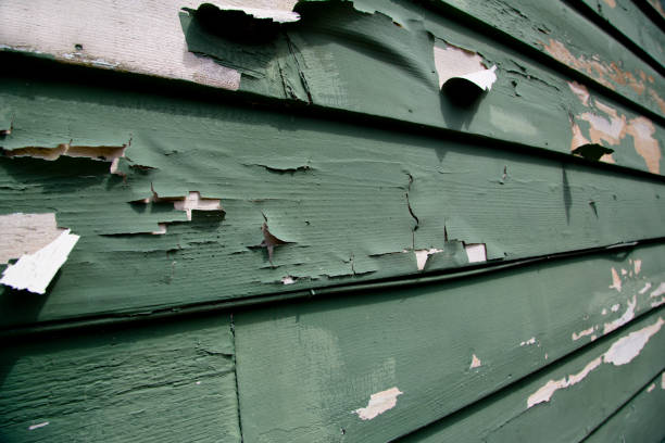 Best Siding Repair  in Culpeper, VA