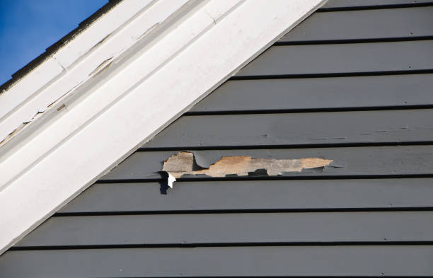 Professional Siding Installation & Repair in Culpeper, VA